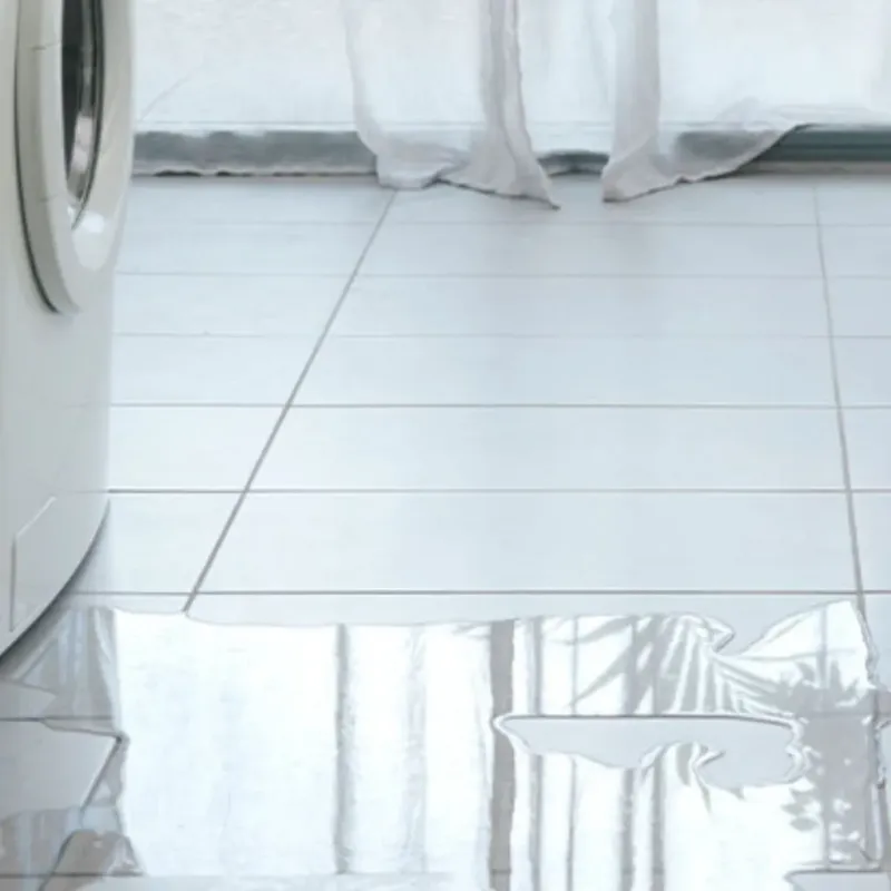 Appliance Leak Cleanup in Alexandria, IN
