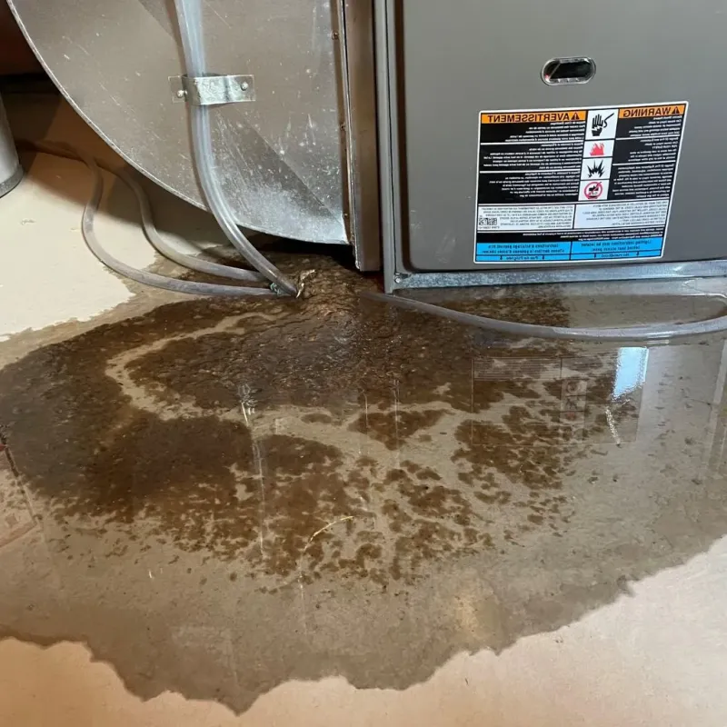 Pipe Burst and Leak Restoration in Alexandria, IN